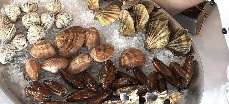 Κεντρική Μακεδονία (αποφάσεις για δίθυρα μαλάκια)