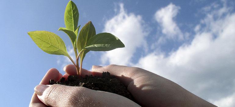 Περιφερειακό Κέντρο Προστ. Φυτών & Ποιοτικού Ελέγχου Ηρακλείου