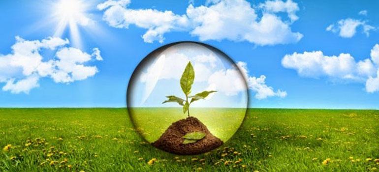 Πολλαπλασιαστικό Υλικό στη Βιολογική Γεωργία