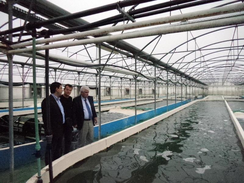 1-10-2013 ΣΠΙΡΟΥΛΙΝΑ