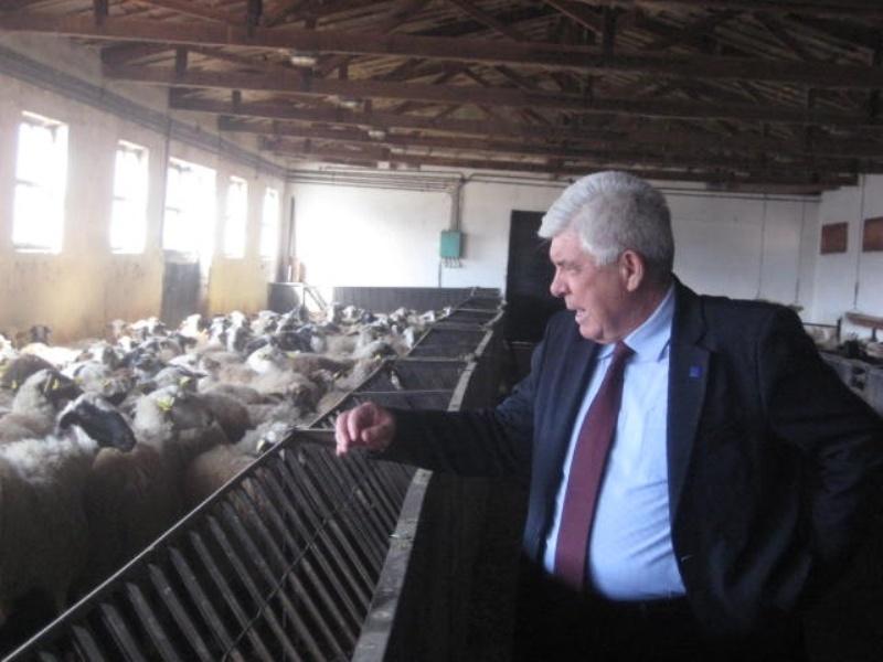 17-3-2014 ΖΩΝΗ ΚΤΗΝΟΤΡΟΦΙΑΣ 2