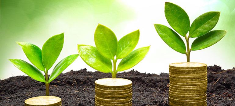 Επενδύσεις γεωργικού τομέα στα πλαίσια του Αναπτυξιακού Νόμου