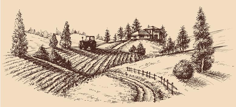 polyleitourgika agrokthmata