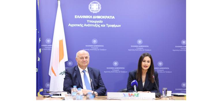 fototypos0811241