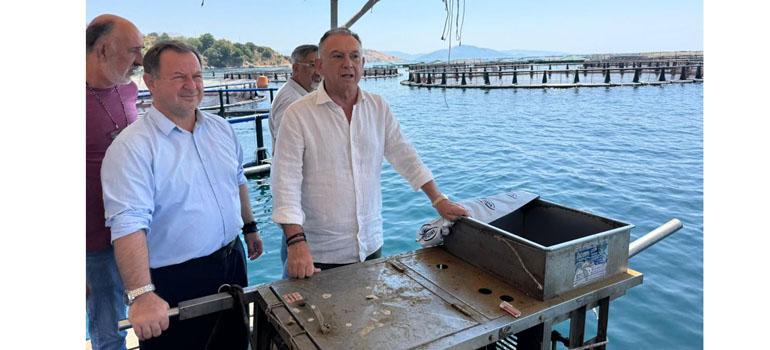 fototypos1108251 fototypos1108251