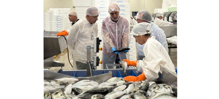 fototypos1108252 fototypos1108252