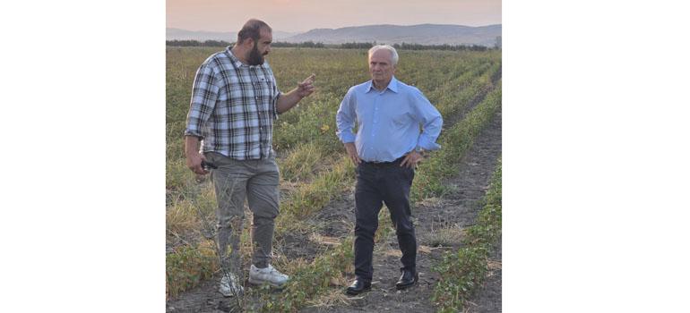 fototypos1109253 fototypos1109253