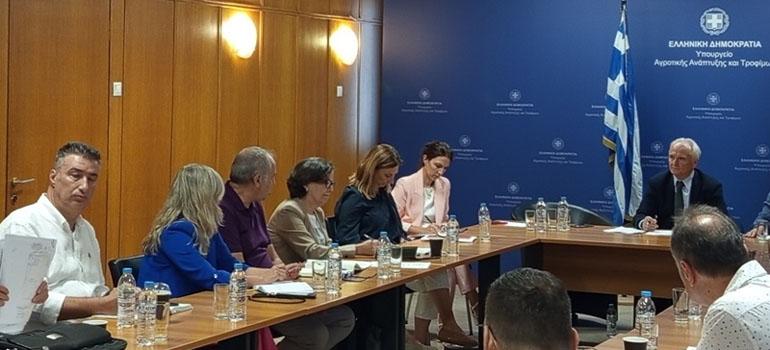 fototypos2709253 fototypos2709253