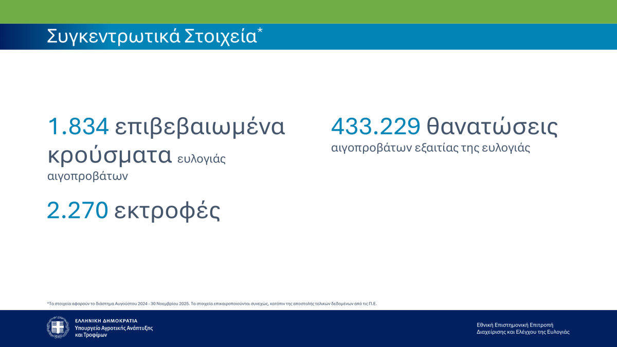 fototypos041225a1 fototypos041225a1