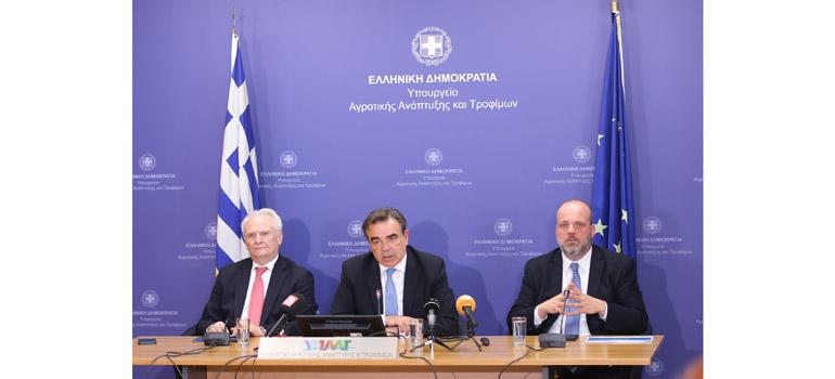 fototypos2004262