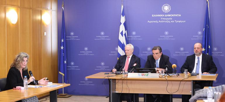 fototypos2004263