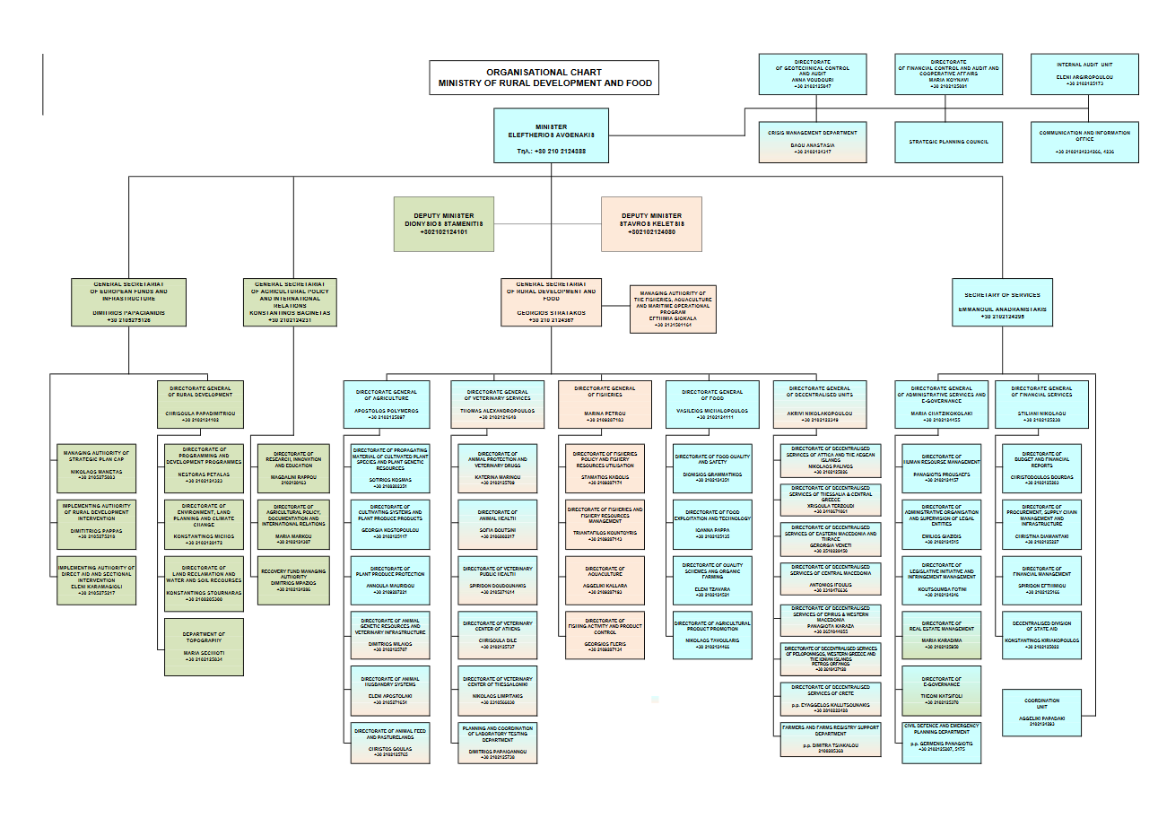 Organizational Chart