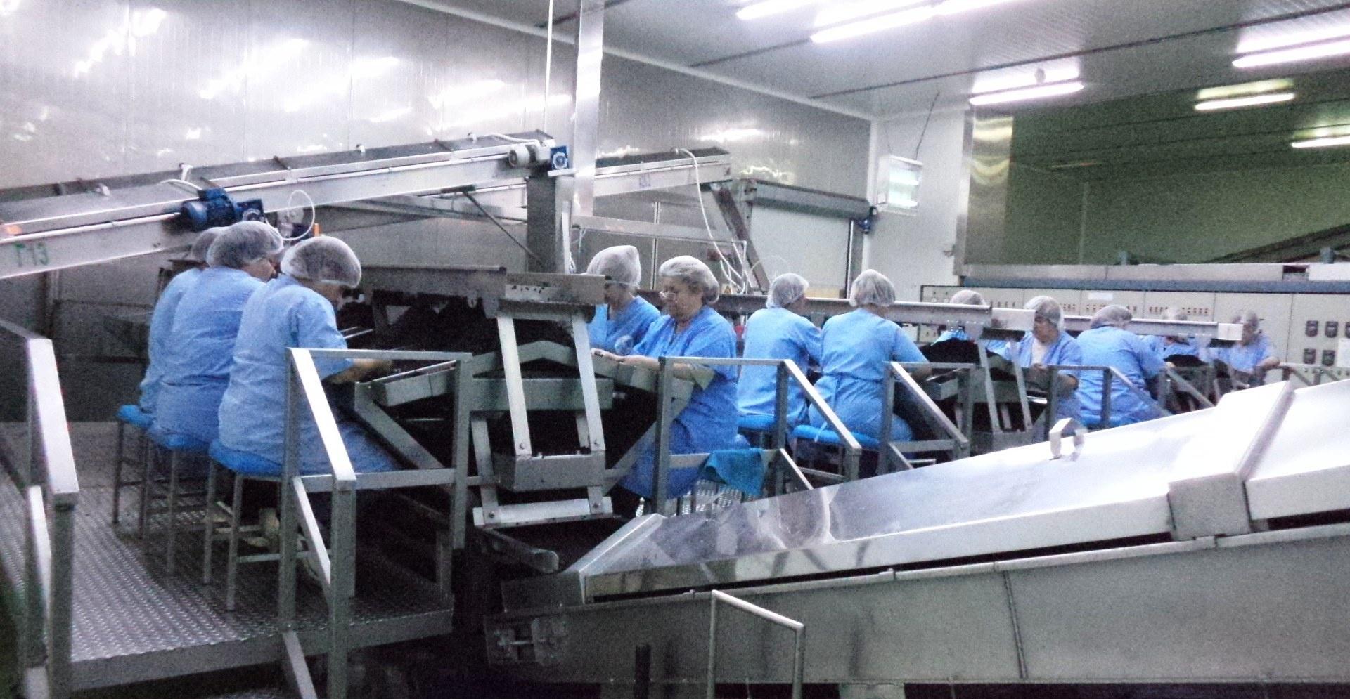 07-11-2013 Παναιγιάλειος Ενωση-Συσκευαστήριο