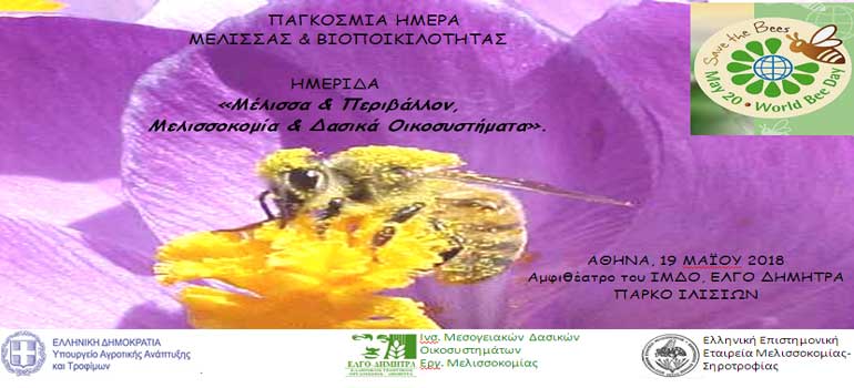 imerida meli 19052018