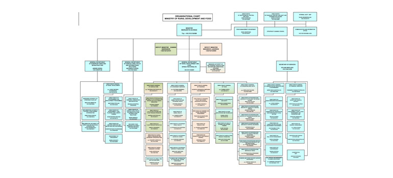 organogramma_sxoinas060426_en