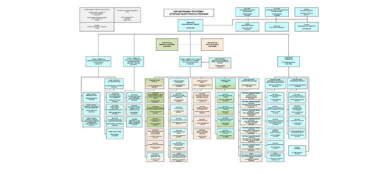 organogramma_tsiaras120824
